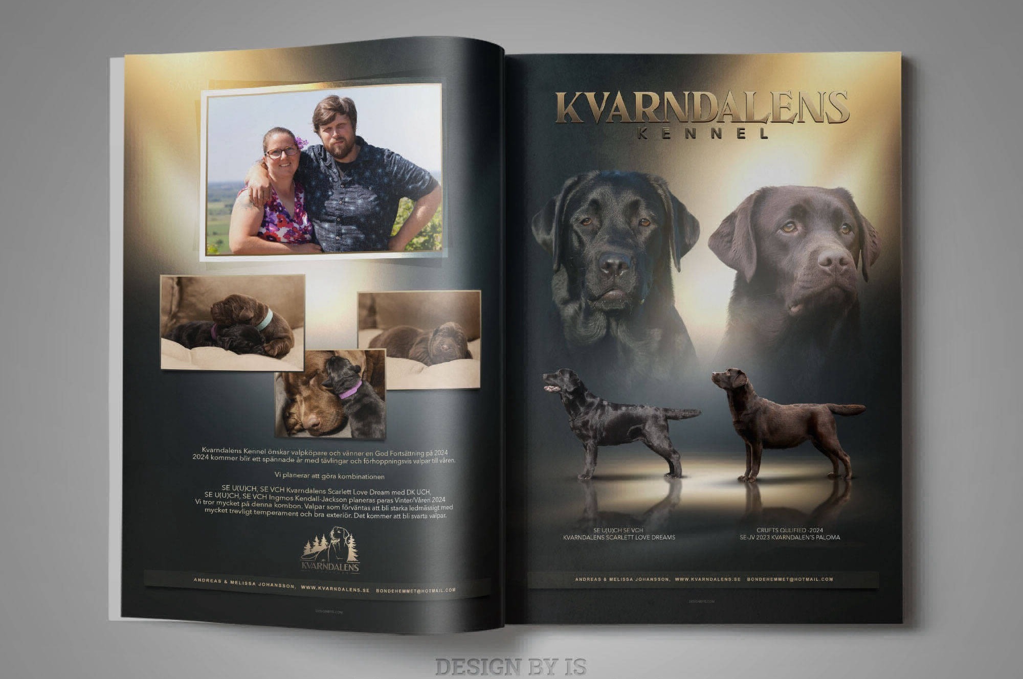 lABRADOR MAGAZINE AD