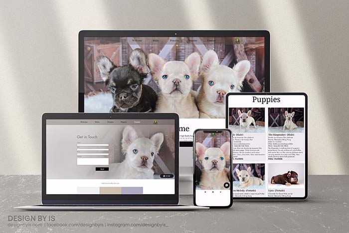 Fluffy french bulldogs breeders