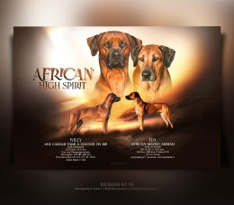 RR litter presentation