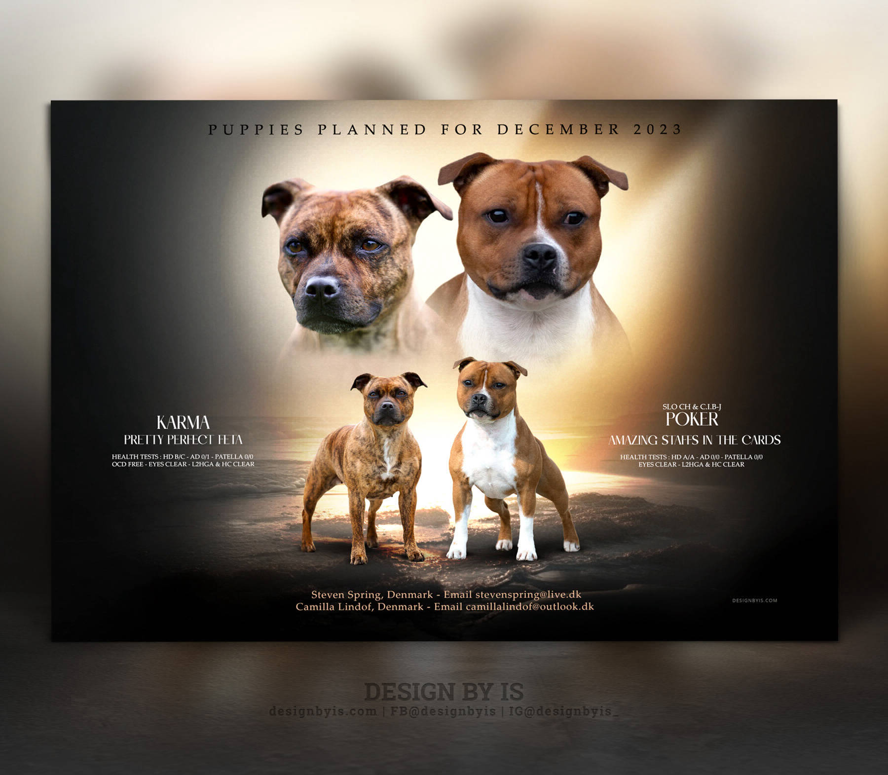  Litter announcement