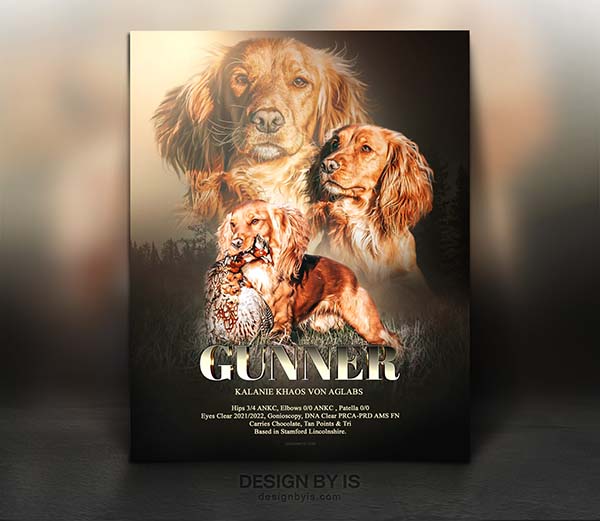 Breeder ads and presentations 