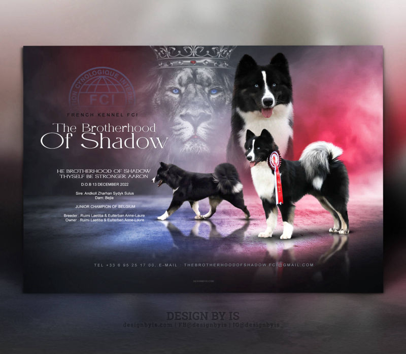 Custom professional Laika dog presentation