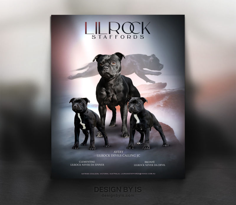Dogs presentation
