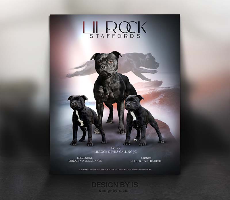 Dogs presentation