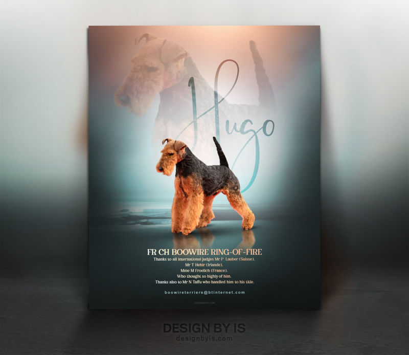 Dog magazine ad